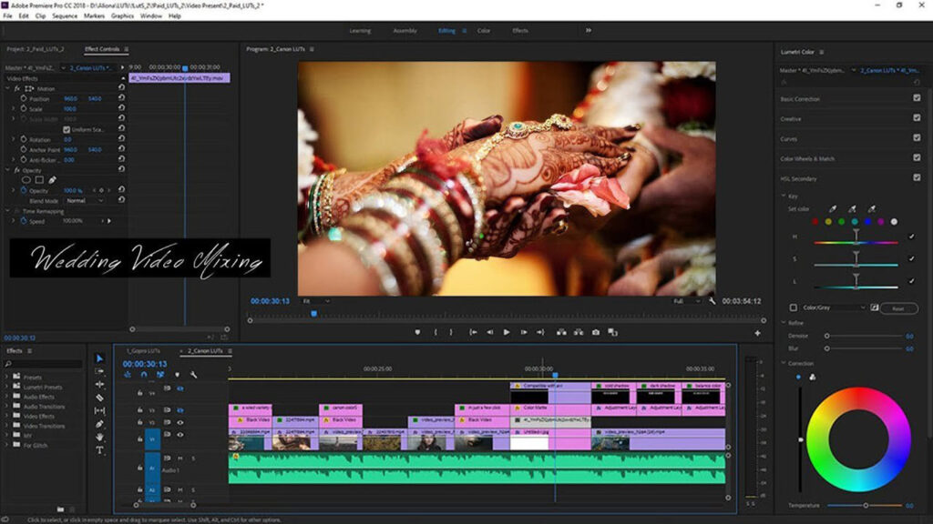 Wedding Video Editing